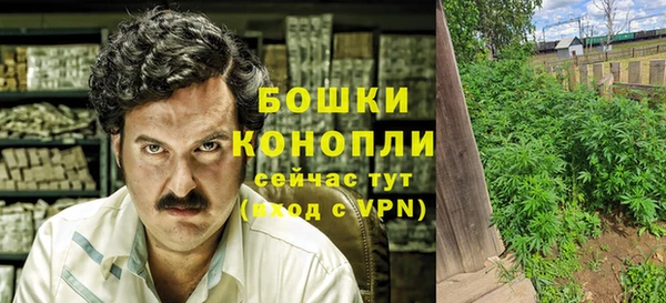 трава Алзамай