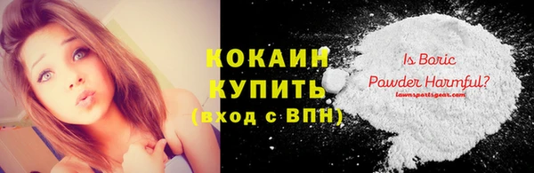 эйфоретик Арсеньев