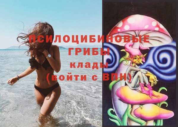 стафф Аркадак