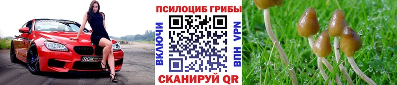 Псилоцибиновые грибы мухоморы  omg зеркало  Белорецк  где найти  